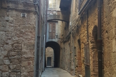 Volterra